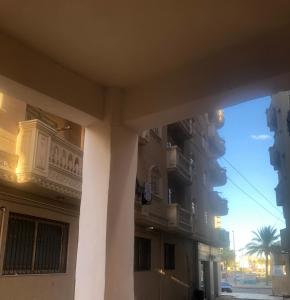 马特鲁港شارع طارق مرسي مطروح的享有带柱子和棕榈树的建筑景致