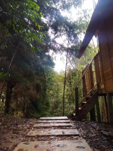 瓜尔内Sanary的通往树林小屋的木路