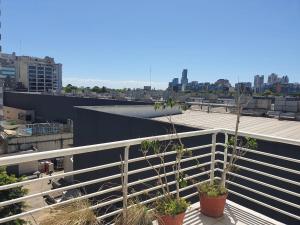 布宜诺斯艾利斯Juncal Apartamento的建筑顶部有两株盆栽植物的阳台