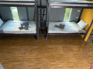 皮皮岛The view Hostel的客房设有两张双层床,铺有木地板。