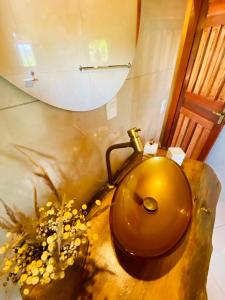 戈亚斯州上帕莱索Kalis Inn的浴室设有金色马桶和镜子