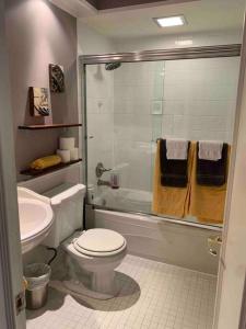 拉瓦尔Havre chez Guylaine的浴室配有卫生间、盥洗盆和淋浴。