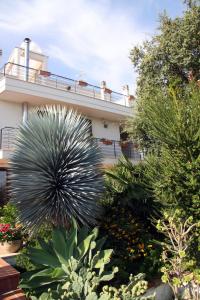 莫诺波利B&B Villa il Sughero的前面有大量植物的建筑