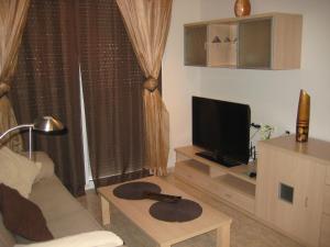 圣卡洛斯拉腊皮塔海岛公寓的带沙发和平面电视的客厅