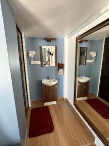 耶拉吉里Sharma Nivas Holiday Homestay的浴室设有2个水槽和镜子