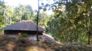 ManeriVanoshi Forest Homestay,Kudase的森林中间的小建筑