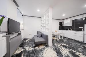 维尔纽斯Klaipedos Apartment - Lollo Luxury的带沙发和电视的客厅以及厨房。