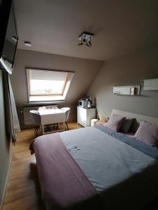 奥斯坦德Sea-Me Ostend的一间卧室配有一张床、一张书桌和一个窗户。