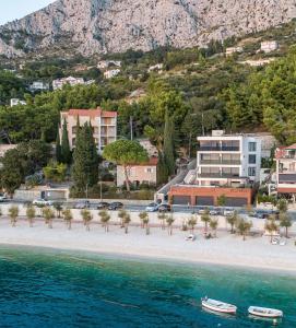 奥米什Villa Brzet - Luxury Boutique Apartments的棕榈树和建筑的海滩,以及水
