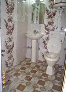 斯利那加Hotel Star of Kashmir的一间带卫生间和水槽的浴室