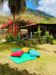 MaranguapeSítio Vale da Serra的三个枕头躺在房子前面的草地上
