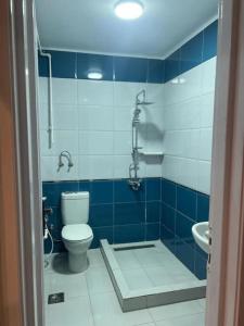 开罗Luxurious apartment in the heart of Cairo, Dokki的蓝色瓷砖浴室设有卫生间和水槽