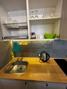 敖德萨Panorama 44的厨房配有水槽和柜台上的锅