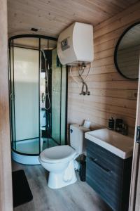 SmārdeMelamar的带淋浴、卫生间和盥洗盆的浴室