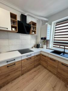特尔古穆列什LUNA Apartments B18的一个带木制橱柜和水槽的厨房