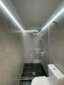 塞萨洛尼基PANSEA 05 IsimeriaHomz的浴室配有白色卫生间和淋浴。