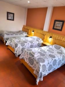 苏克雷Cittadella Hostal的客房设有三张床,配有白色和灰色床单