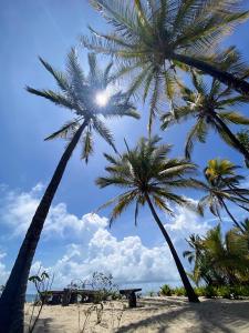 Ushongo MabaoniJumamosi Beach Villa的两棵棕榈树和海滩上的长凳