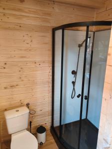 Domki Dygudaj的一间带卫生间和淋浴的浴室