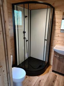 Domki Dygudaj的一间带卫生间的浴室内的玻璃淋浴间