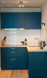安特卫普The Wonder Shore的厨房配有蓝色橱柜和水槽