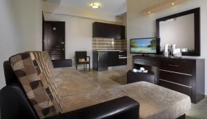 梅塔诺佛希斯4尤公寓式酒店的带沙发和电视的客厅