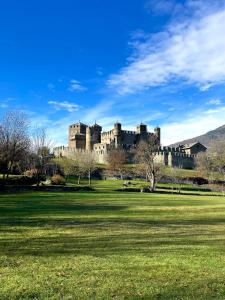 费尼斯À la Bouteucca的一座城堡,位于郁郁葱葱的绿色田野上