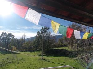 卡拉马尼科泰尔梅Famiglia nel vento的挂在田间杆上的旗子