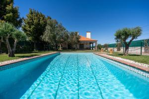 新皮尼亚尔Villa with Pool & private garden - Palmela Quinta das Oliveiras的一座绿树成荫的蓝色游泳池
