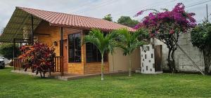 佩德纳莱斯Hosteria SR的院子内有棕榈树的小房子