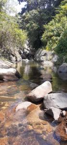 Mandaran NewaraAyu Bliss Elamulla, Mandaramnuwara的森林中岩石流水