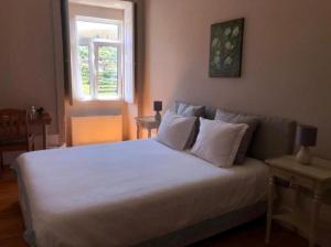 梅桑弗里乌Casa de Carrapatelo的一间卧室配有一张带白色床单的床和一扇窗户。