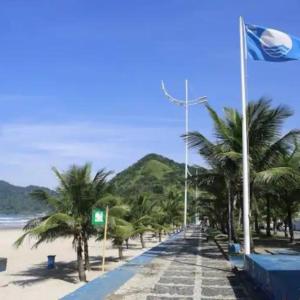 瓜鲁雅03 Doutor Hostel 800mts da praia的一条棕榈树和海滩上旗帜的小径