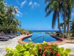 拉罗汤加黑岩别墅的棕榈树和海洋度假村的游泳池