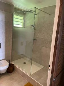 GourbeyreKARUK'IDîLE-Appartement Vue Mer - Plage à 200m的一间带卫生间的浴室内的玻璃淋浴间
