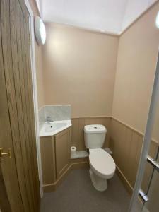 朗塞斯顿Victorian Police Station Apartment的一间带卫生间和水槽的小浴室