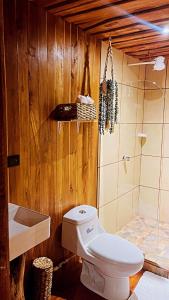 Rio CelesteCacahua Paradise Lodge, Río Celeste的一间带卫生间和淋浴的浴室