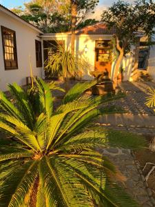 弗龙特拉La Rayuela Suites的房屋前的棕榈树