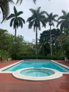 蒙特哥贝Guango Grove Cozy Corner的一座棕榈树环绕的游泳池