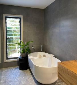 海姆斯海滩Hyams Beach House B - Brand new lux beach oasis的植物浴室内的白色大浴缸