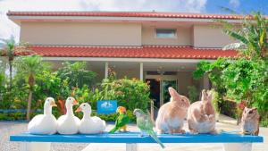 石垣岛Little Mermaid Hotel Ishigakijima的一组兔子和鸟儿坐在桌子上