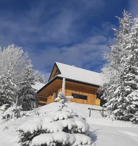 克雷尼察Domki Krynica的小木屋前方有雪覆盖的树木