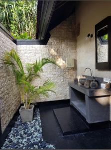 吉利阿尔Senang Luxury Villa的一间带水槽和盆栽植物的浴室