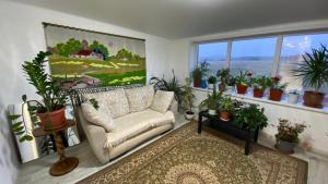 博罗沃耶Коттедж的带沙发和盆栽植物的客厅