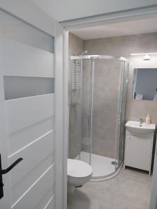 耶莱尼亚古拉Hostel Anilux的带淋浴、卫生间和盥洗盆的浴室
