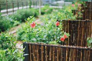 宝安深圳泰华梧桐酒店的花园中带红色花卉的木栅栏