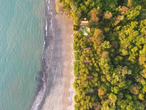 博卡奇卡The Resort at Isla Palenque Member of the Cayuga Collection的享有海滩上树木和水景