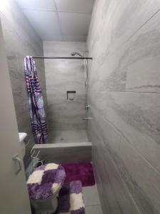 ArimaK&L Private Room Suites的带淋浴和卫生间的小浴室