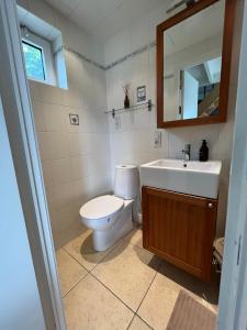 米德尔克尔克vakantiewoning Heidehoek的一间带卫生间、水槽和镜子的浴室
