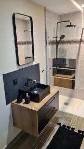 JujurieuxGîte du Riez的浴室设有黑色水槽和镜子